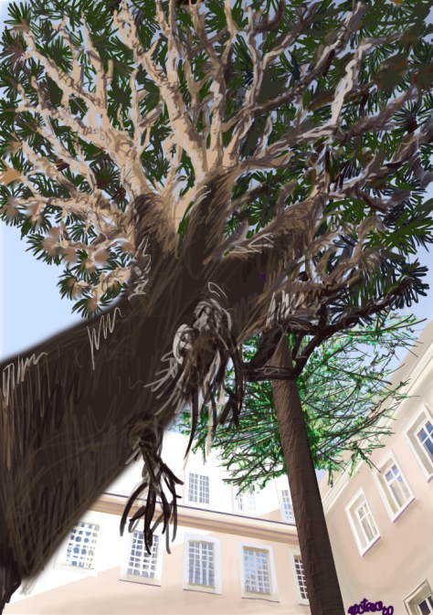 Paisaje Digital Cadiz. pixelnomicon.net