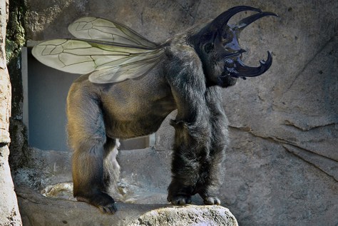 Pollopulpo 13-14. pixelnomicon.net