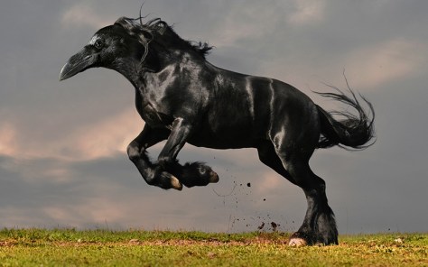 Pollopulpo 13-14. pixelnomicon.net