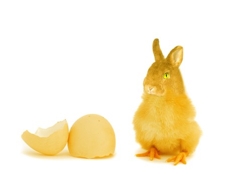 Pollopulpo 13-14. pixelnomicon.net