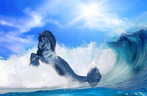 Pollopulpo 13-14. pixelnomicon.net