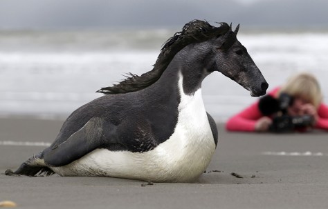 Pollopulpo 13-14. pixelnomicon.net