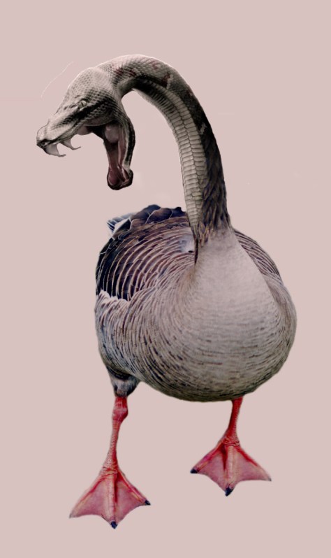 Pollopulpo 13-14. pixelnomicon.net