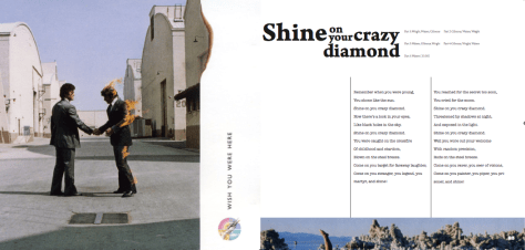 Pink_11-12_Cristina03